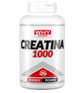Creatina why 240cp